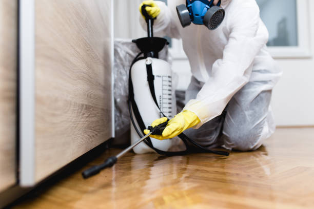 Best Local Pest Control Services  in Raeford, NC