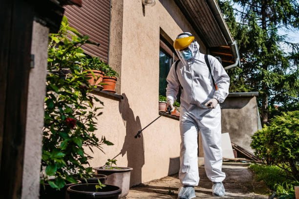 Best Cockroach Control Services  in Raeford, NC