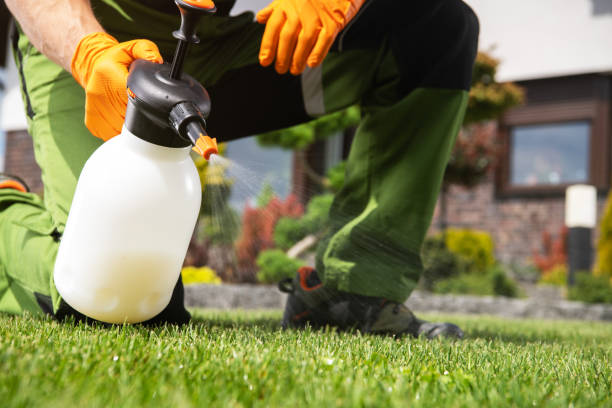 Best Emergency Pest Control  in Raeford, NC