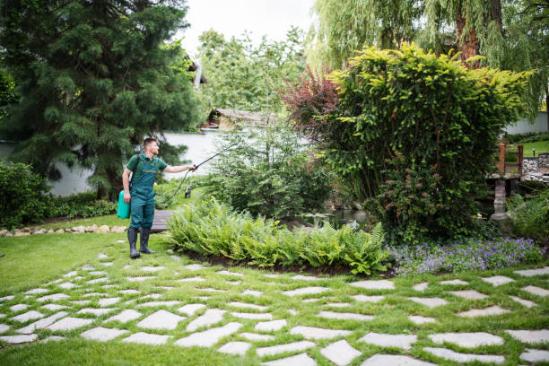 Best Wasp Removal Services  in Raeford, NC