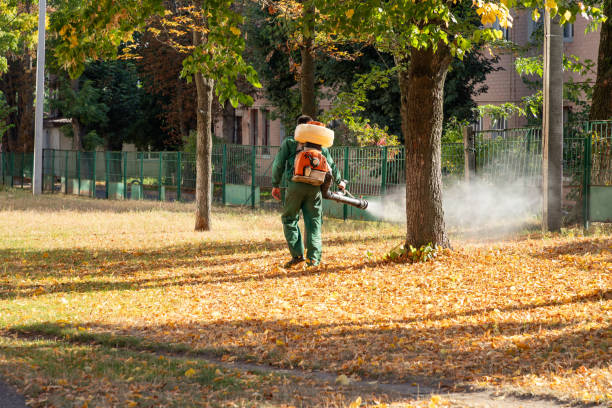 Best Wasp Removal Services  in Raeford, NC