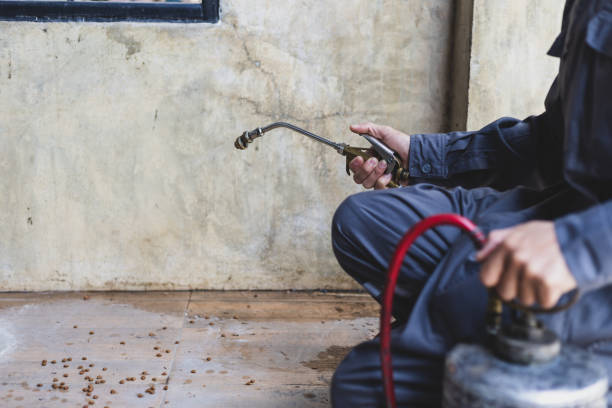 Best Best Pest Control Companies  in Raeford, NC